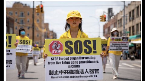 China's FORCED ORGAN HARVESTING Now Being Exported To The Western World