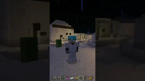 My new pet on MINECRAFT