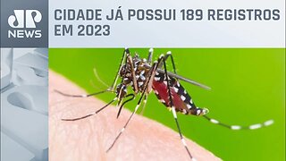 Casos de dengue têm aumento de 600% na cidade do Rio de Janeiro
