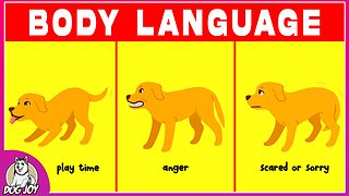 Dog Language Explained! Best Ways to Understand your Dog