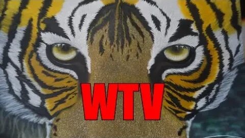 WTV PRESENTS: A TIGER PAINTING BY JAE WOODWARD