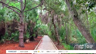 Walking Club: Exploring Clam Bayou Nature Preserve & Clam Bayou Nature Park