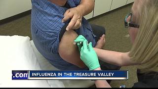 Influenza cases reported in the Treasure Valley