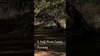 Half Moon Creek Morning