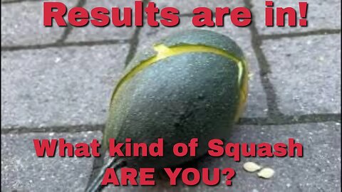 RESULTS for "What kind of squash are you?" | Urban Homestead VLOG