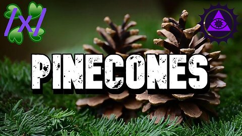 Pinecones | 4chan /x/ Feels Greentext Stories