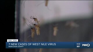 33 cases of West Nile virus confirmed in South Florida