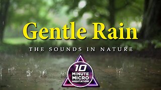 Gentle Rain - Calm your Mind, Body and Soul with a 10 Minute Micro Meditation