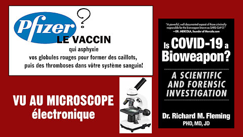 PFIZER vu au microscope dans vos globules rouges c'est effrayant ! (Hd 720) Lire descriptif