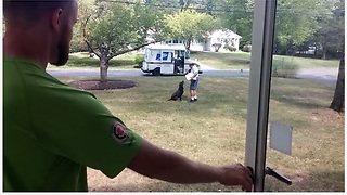 Ecstatic Dogs Run Across Yard To Greet The Mailman