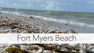 Finding sea shells on the beach. Low tide shelling on Fort Myers Beach Florida.