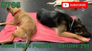 [0766] GOOD NIGHT PUPPIES - EPISODE 294 [#dogs #doggos #doggies #puppies #dogdaycare]