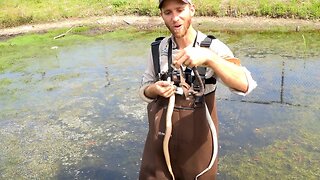 SNAKE INFESTATION! Snakes On The Playground | Episode 6 - It’s A Wild Life