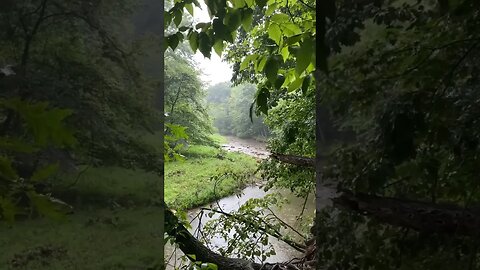 Thundering Rainy Hike