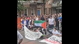Pro-Palestine demonstrators are currently blocking the NYC Pride Parade