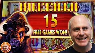 I 💛BIG BUFFALO BONUSES! 🎰Exciting Jackpot Wins on Buffalo! | Raja Slots