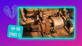 BROKEN WATER PUMP [Part 1]: Life on a WELL Without a PUMP