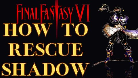 Saving Shadow Final Fantasy VI