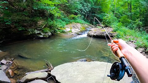 Fly Fishing For BIG Native Brook Trout! (Creek Fishing)