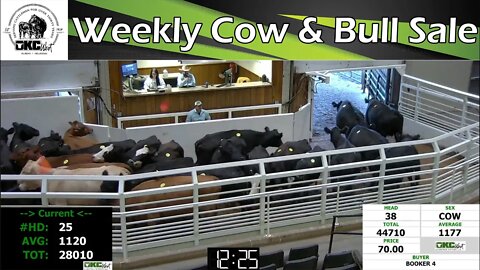 11/7/2022 - OKC West Weekly Cow & Bull Auction