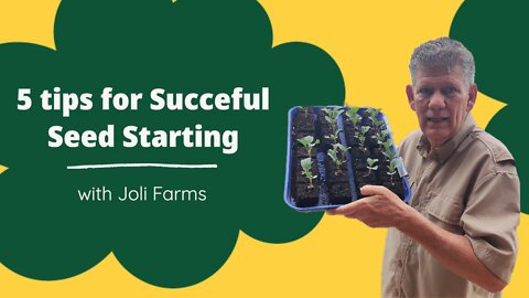 5 tips on how to start seeds successfully