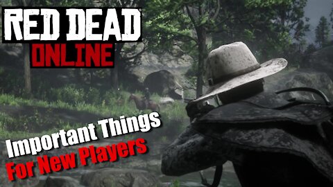 5 Important Things For New Players In Red Dead Online
