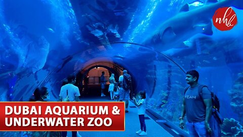 Dubai - Dubai Aquarium & Underwater Zoo