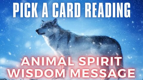 Spirit Animal Wisdom 🐆 Pick a Card Oracle Tarot Reading