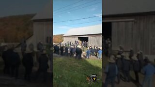 Amish Auction