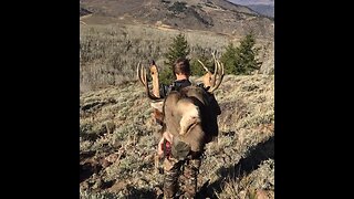 Deer Hunt in Colorado | Desert Tech