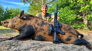 The Hunt For Bulldozer! Hog Hunting at Night with Thermal Optics!