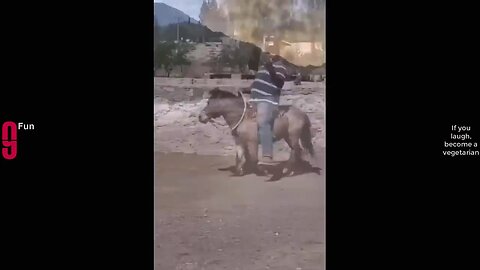 funny videos this is show you very funny and intersting video