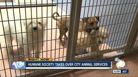 Humane society takes over city animal services