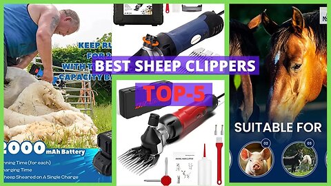 Best Sheep Clippers | How to Choose the Best Sheep Clippers