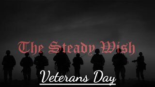 Veterans Day, what does it mean? What is the path forward?