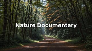 Mystical Horizons: 1-Hour 4K Nature Documentary with Meditation Sleep Music