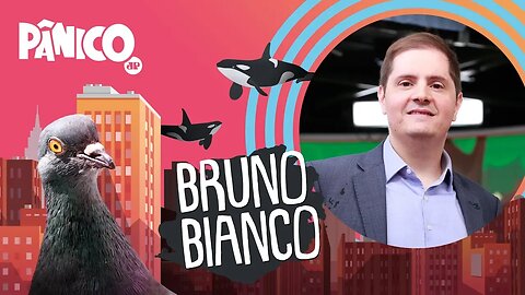 Bruno Bianco | PÂNICO - 18/02/2020 - AO VIVO