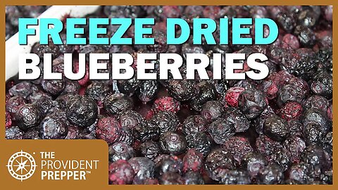 Food Storage: Freeze Dried Blueberries