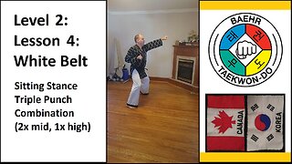 Baehr Taekwondo: 02-04: Yellow Stripe: Sitting Stance - Triple Punch Combo (2x middle, 1x high)