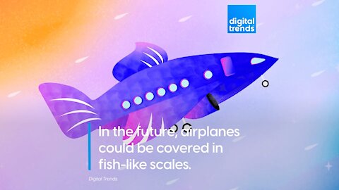 In the future, airplanes could be covered in fish-like scales