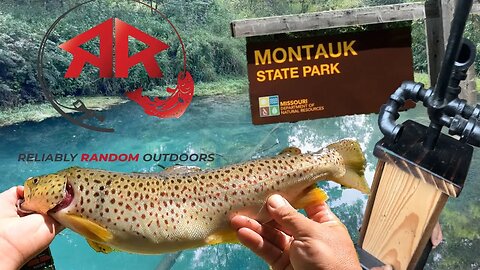 Return to MONTAUK: Defending the Ultimate Prize in Trout Fishing