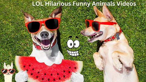 Hilarious Creatures Hub: Join the Laugh Brigade on Funny Comical Critter Clashes! 😄🤣💃 #FunnyAnimals