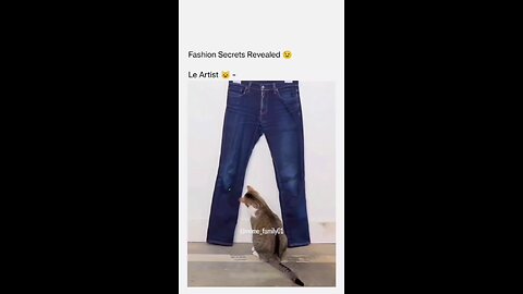 How to have ripped jeans 😸😸🙂😂😂😂