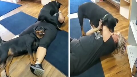 Rottweilers adorably hold this woman hostage