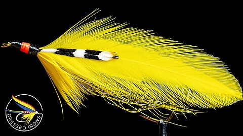 Tying the Canary - Dressed Irons