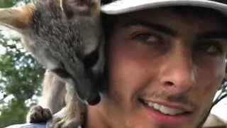 Guy adopts fox thinking it's a dog