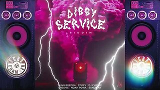 Dibby Service Riddim Mix! (Echo Chamber)