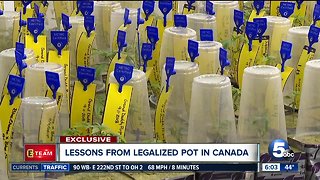 Lessons learned from legalizing pot in Canada