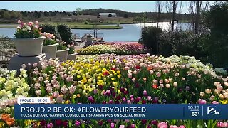 Proud 2 Be OK: Tulsa Botanic Garden Donates Freshly Cut Tulips to Hospital Workers, Patients