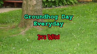 It's Groundhog Day Everyday